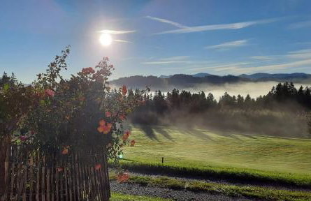 Ferienwohnung Schneider - Photo 15
