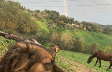 casa rural larre aundi - Foto 48