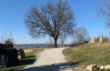 conGusto Apartments - Photo 23