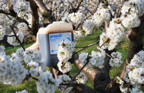 Tenuta Fortelongo - Foto 89