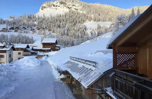 Cesa Fossal - Foto 36