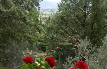 Agriturismo I Mandorli - Foto 12