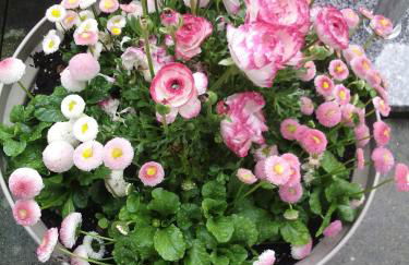 City Apartment Tübingen-Lustnau - Foto 19