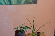 Vista para o por do sol - Foto 1