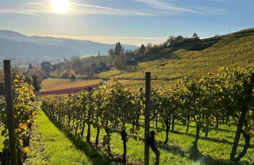 Black Forest Brandenkopfblick - Foto 11