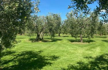 Melarancio Home - Foto 47