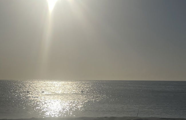 Areia Beach - Pozos Colorados - Santa Marta - Colombia - Foto 34