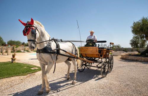 WePuglia - TERRATERRA - Masseria Minunni - Photo 45