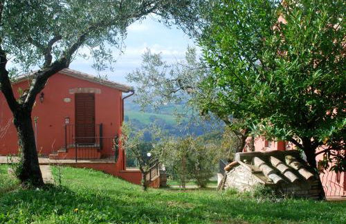 Tenuta San Savino delle Rocchette - Foto 53