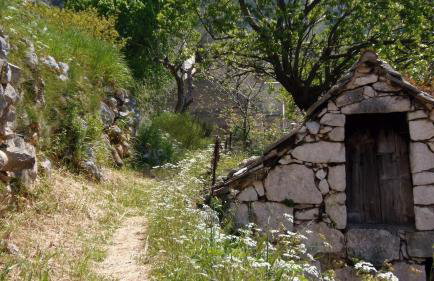 Stone cottage Lavandula - Foto 18