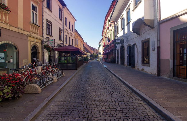 Lovely Apartment in Ptuj With Golf Course Nearby - Foto 27