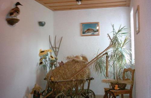 Beim Josef - Foto 10