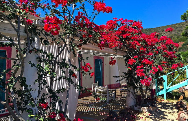 Poecylia Resort - Photo 8