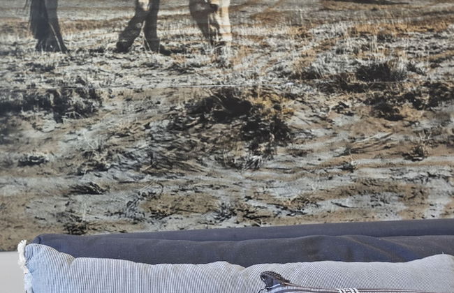 Pueblo Suite - Walk to all things OT Scottsdale - Foto 23