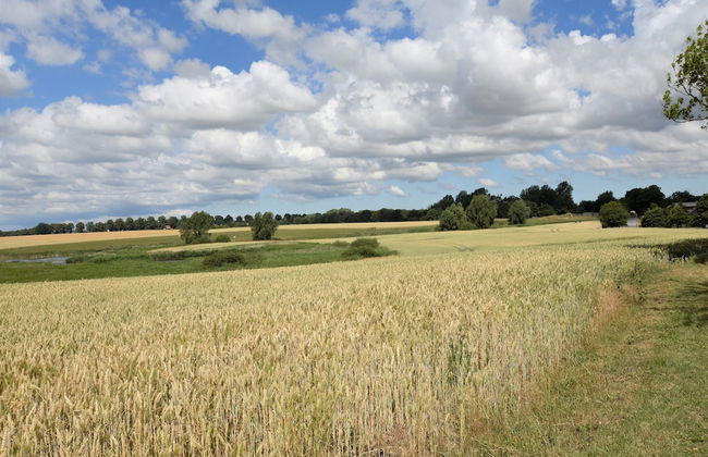 Peaceful Apartment in Maltzien With Lake Nearby - Foto 52