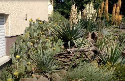 Haus am Aartalsee - Foto 50