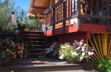 Moose Mountain Cabin- Cozy retreat with aurora views - Foto 41