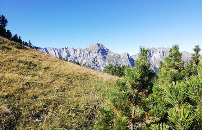 Apartment Niedernsill Near Ski Slopes - Foto 33