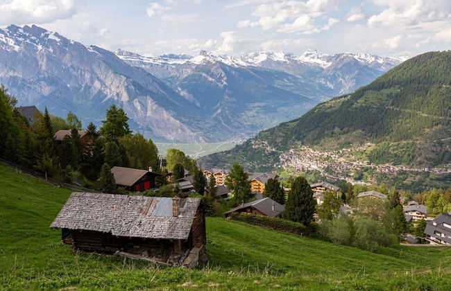 Relaxing Sauna Chalet for 6 - Foto 17