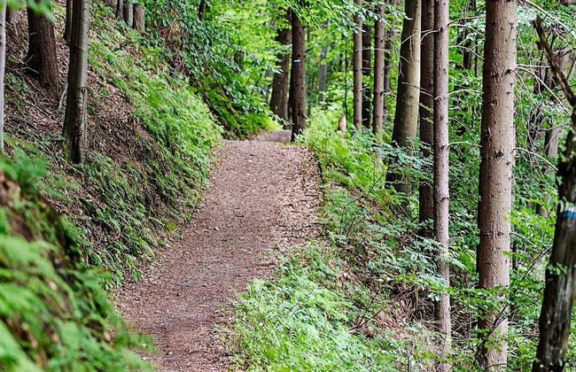 3 Person Holiday Home in Trosa-by Traum - Foto 14