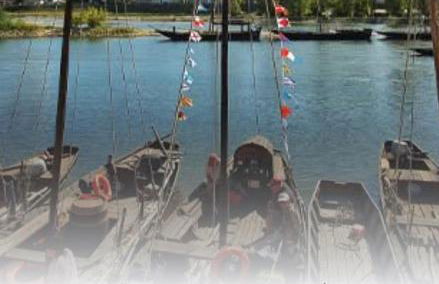 Appartement haussmannien au cœur d Orléans - Foto 29