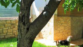 Apartments Rukavina - Foto 2