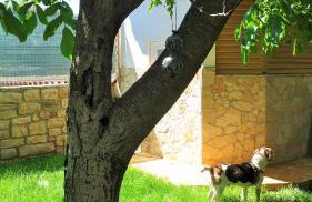 Apartments Rukavina - Foto 2