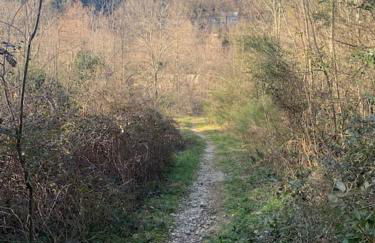 Villa La source & SPA - Photo 34