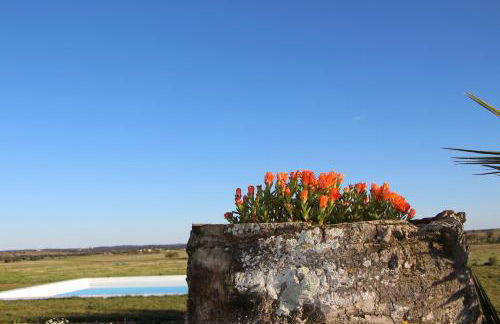 Monte Da Azarujinha - Foto 32