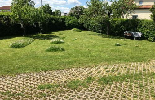 Haus Betty - Foto 15