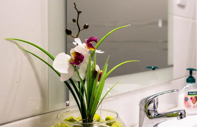 Silver Gate Home in Nossa Senhora do Pilar - Photo 14