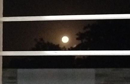 ViVa Casa Catuama - Foto 27