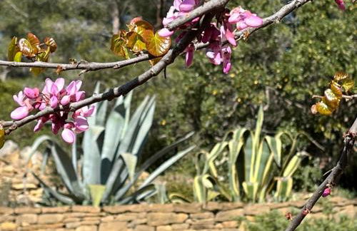 Luxueuse Villa avec Piscine et jacuzzi sur les hauteurs de La Ciotat - Foto 25