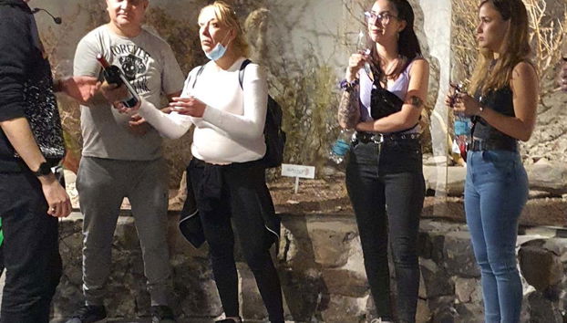 Neuquén Wineries Tour - Foto 5