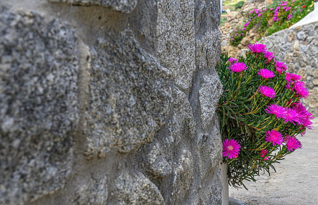 9 Muses Villas Mykonos - Photo 21