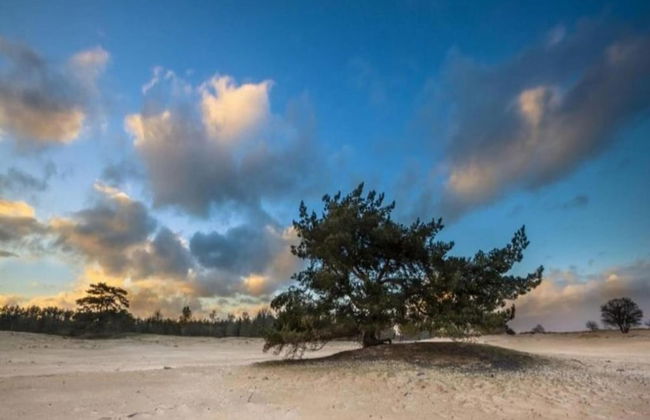 Chalet in the Woods With Pool - Photo 35