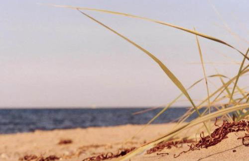 Idyllic Holiday Home in Damshagen with Terrace - Foto 24