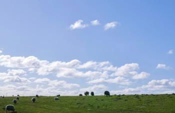 Am Horumertief - Foto 29