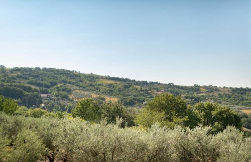 Agriturismo Assisi La Rocca - Foto 73