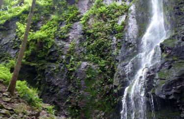 Schwarzwald-Ferienwohnungen Begert - Foto 15