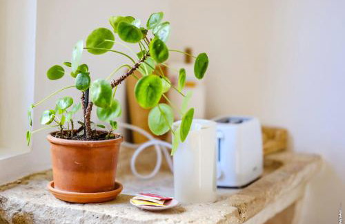 Casa Glesia loft medieval vue sur l eglise - Foto 15