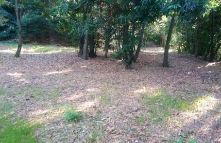 Casolare Toscano - Foto 58