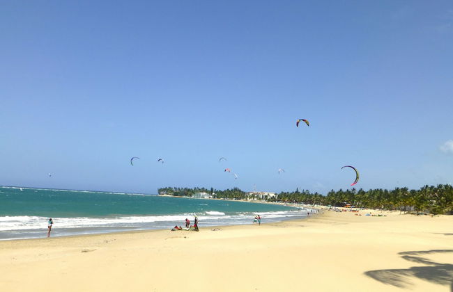 Ocean Dream Studio - Photo 18