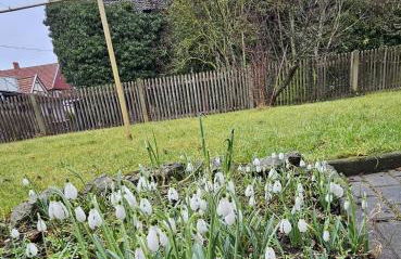 FeelGood Ferienwohnung - Foto 18