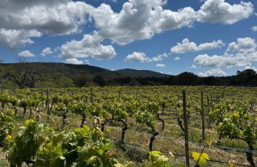 Salto del Caballo - Foto 33