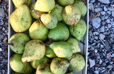 Palazzo Minelli - Foto 64