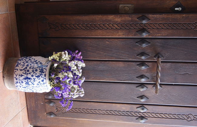 Finca El Romeral - Foto 2