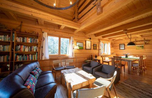 Chata na Kowalówkach - domek w górach - blisko szlaków i wyciągu - Foto 16