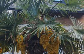 Apartament Nad Jeziorem Brenno - Foto 19