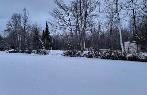 Lake Willow Lakefront House! Northwoods Retreat! - Foto 51